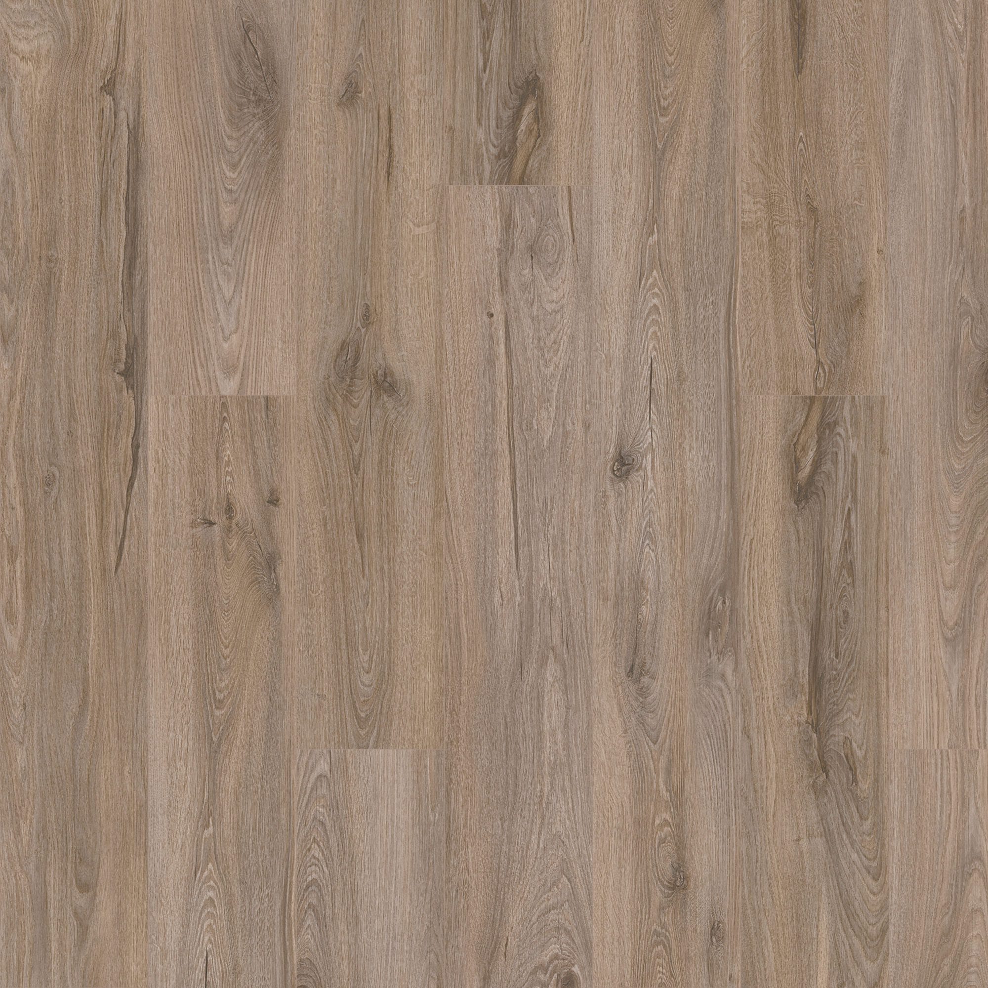 In-stock Specials Karastan Artisan Reserve Brynwood Free Shipping In-stock Specials - Karastan Artisan Reserve Brynwood | Giant Commercial Flooring