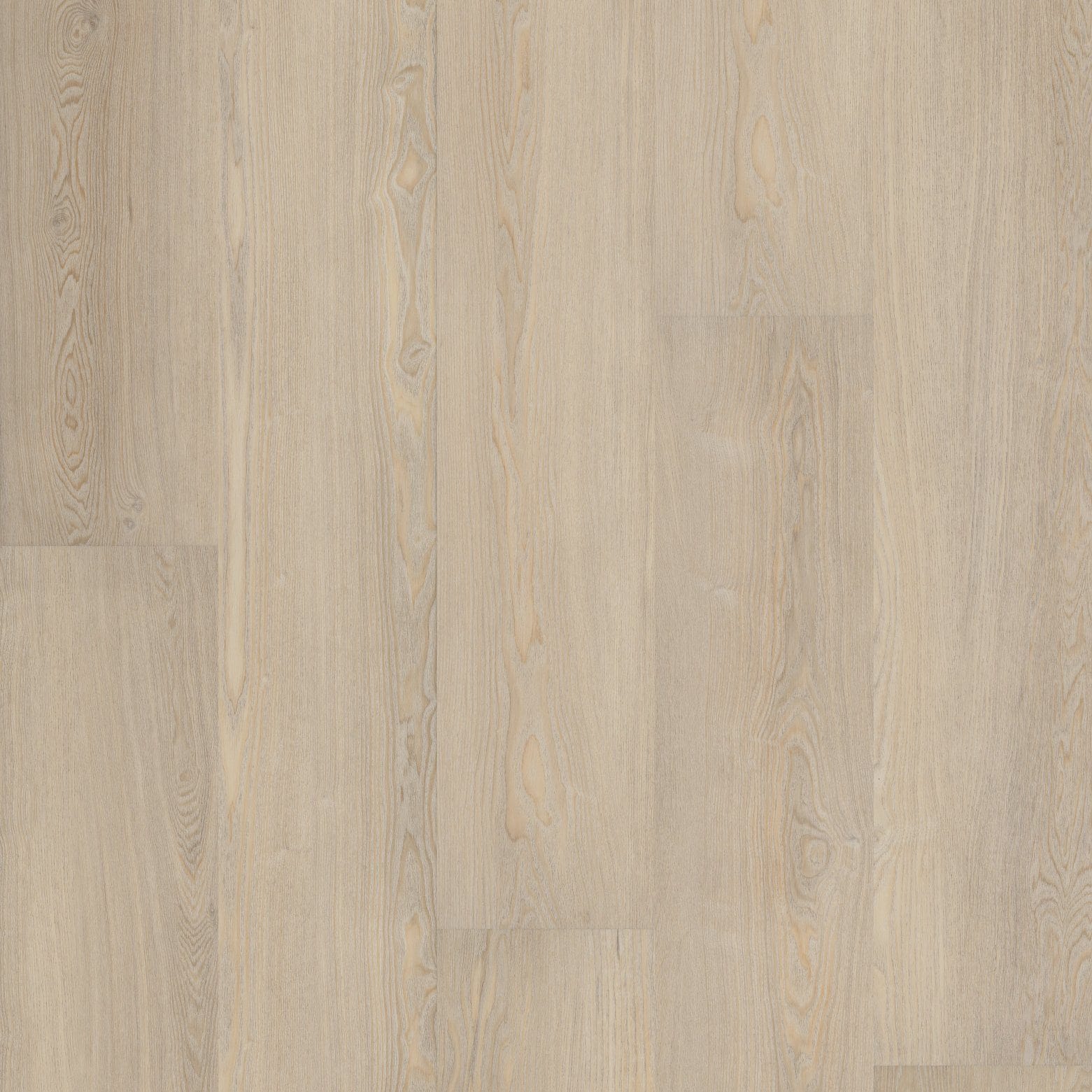 COREtec VV810 COREtec Premium 9″ Conch Ash Coretec COREtec - VV810 COREtec Premium 9" Conch Ash | Giant Commercial Flooring
