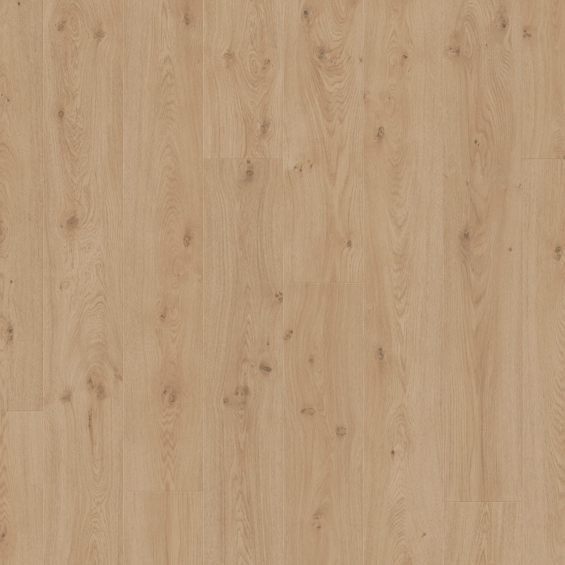 Laminate Grand View Midas Oak Grand View Laminate - Grand View Midas Oak | Giant Commercial Flooring