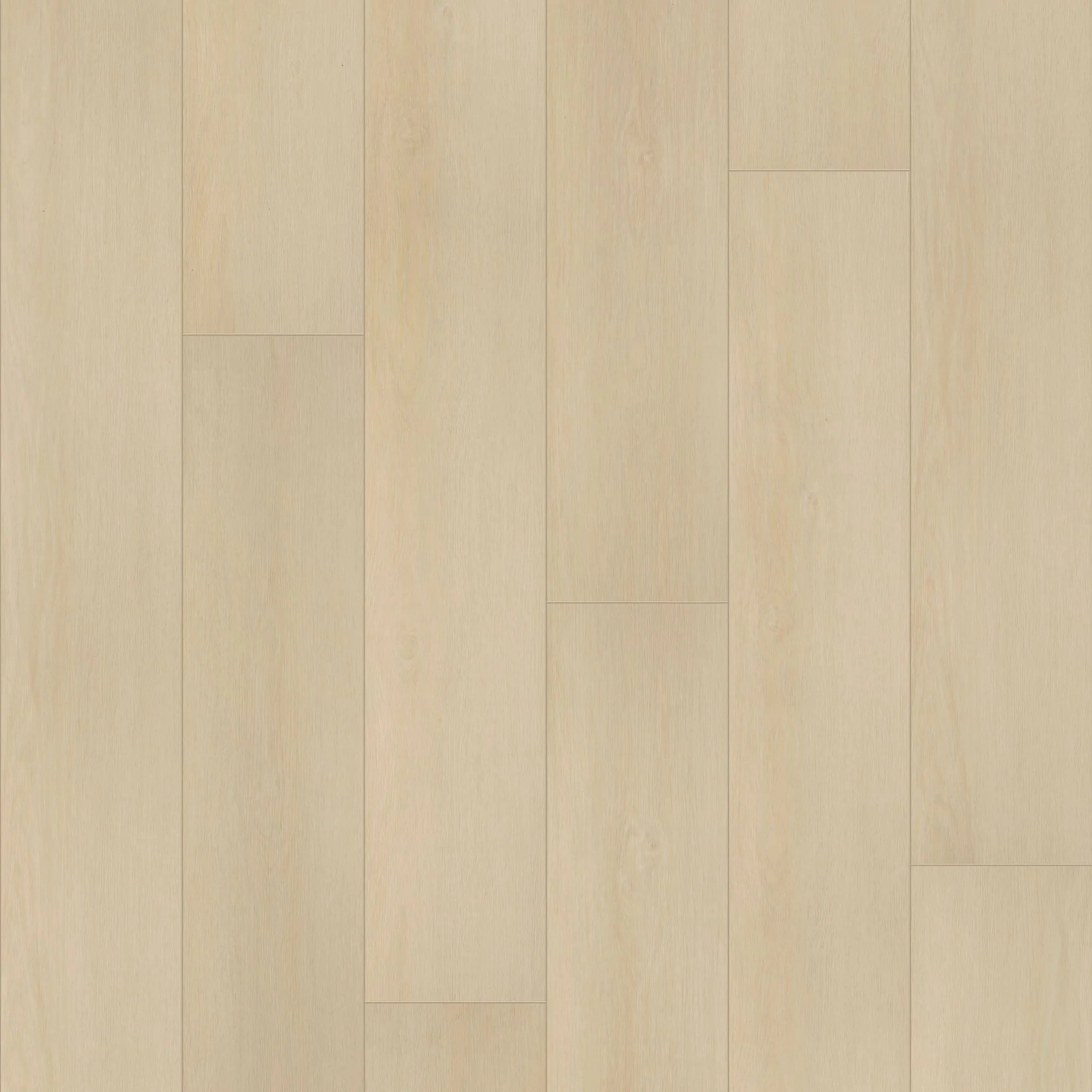 COREtec CR501 COREtec Premium Champagne Mist Oak Coretec COREtec - CR501 COREtec Premium Champagne Mist Oak | Giant Commercial Flooring