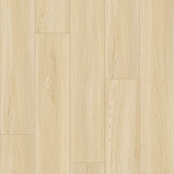 Laminate Excellence 12mm Aster Excellence Laminate - Excellence 12mm Aster | Giant Commercial Flooring