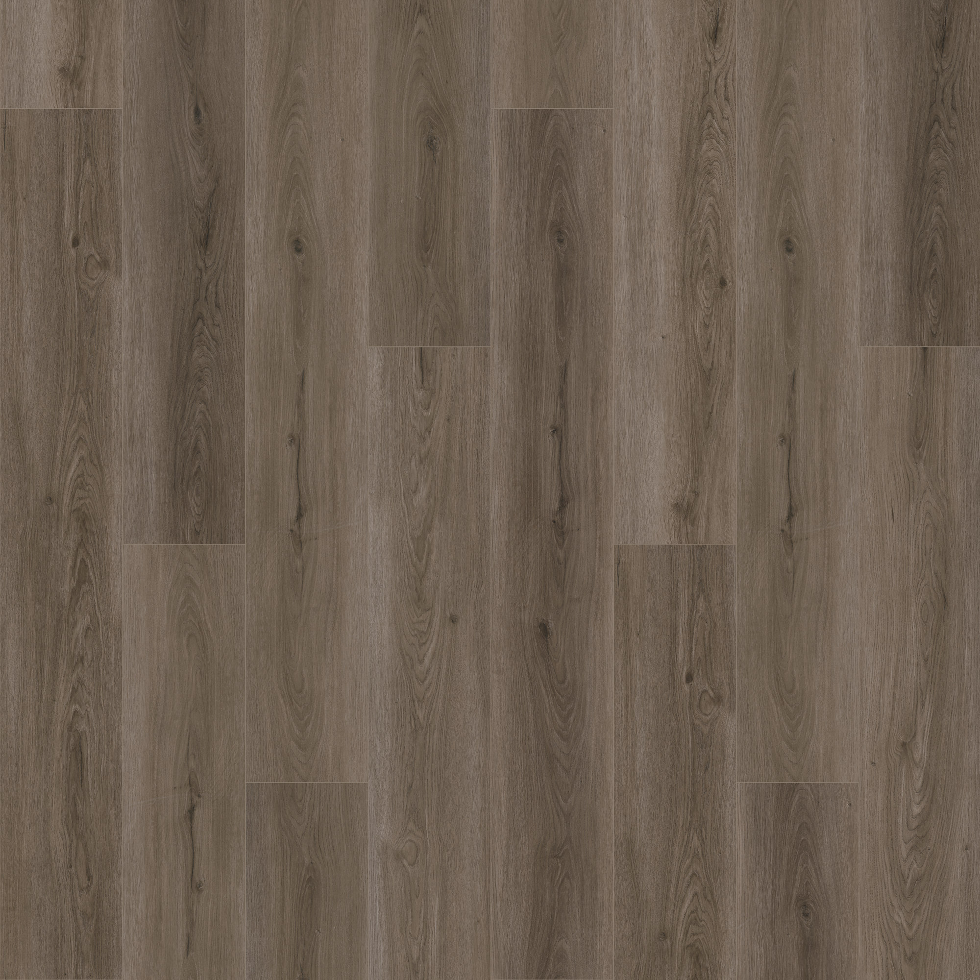 In-stock Specials SolidTech Emerald Waters Rutledge In-stock Specials In-stock Specials - SolidTech Emerald Waters Rutledge | Giant Commercial Flooring