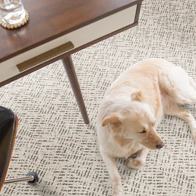 Home | Giant Commercial Flooring Home | Giant Commercial Flooring