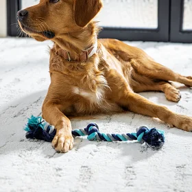 Home | Giant Commercial Flooring Home | Giant Commercial Flooring