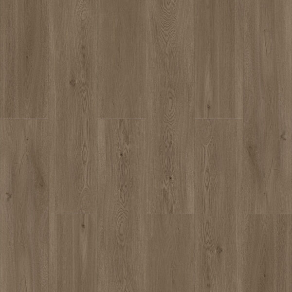 Laminate Accord Premium Stampede Accord Laminate - Accord Premium Stampede | Giant Commercial Flooring