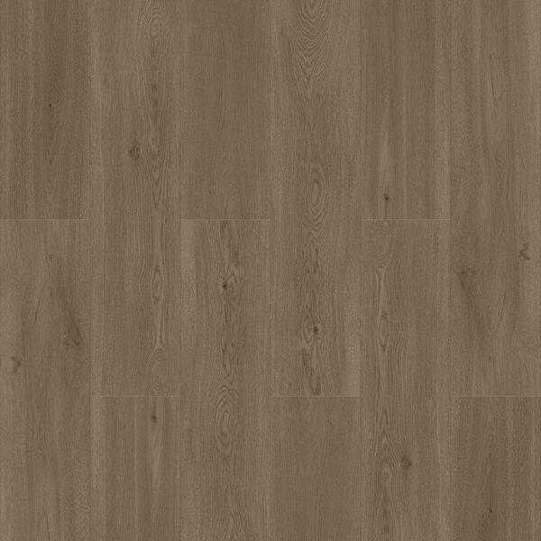 Laminate Solidarity Stampede Laminate Laminate - Solidarity Stampede | Giant Commercial Flooring