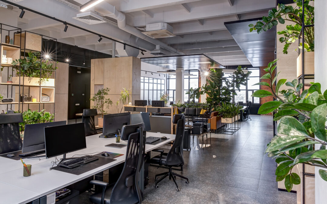 LVP vs. LVT: Unpacking the Differences to Find Your Perfect Luxury Vinyl Match